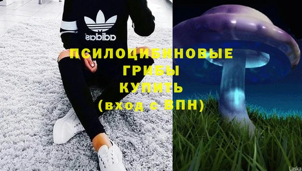 прущие крисы Богородск