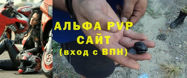 метадон Богданович