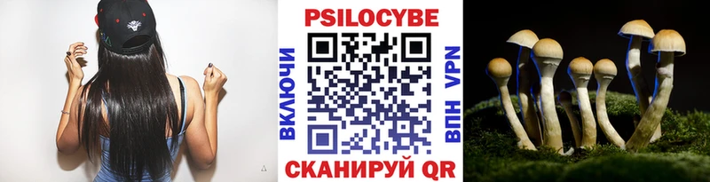Галлюциногенные грибы мицелий  купить закладку  Котовск 